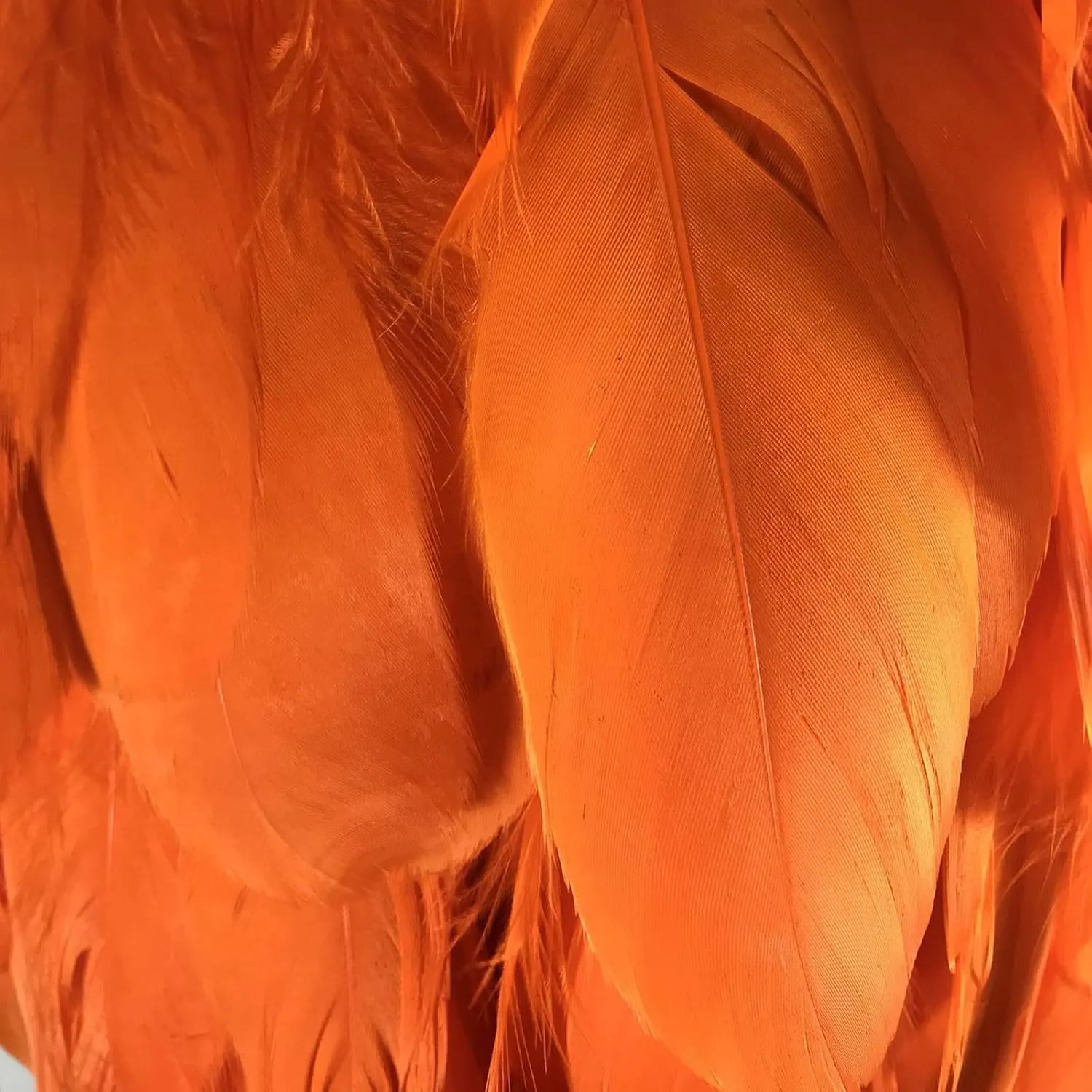 Feather Skirt Mid Waist A-line Real Natural Feather Short Skirts for Women Sexy Summer Carnival Skirts